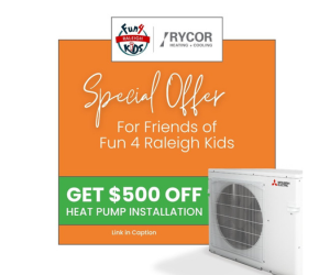 Rycor Partner Offer